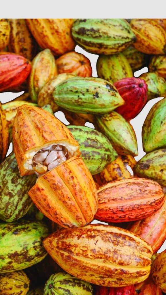 Organic products 02a96e7a d63f 499b 9b64 277fb0c582ac