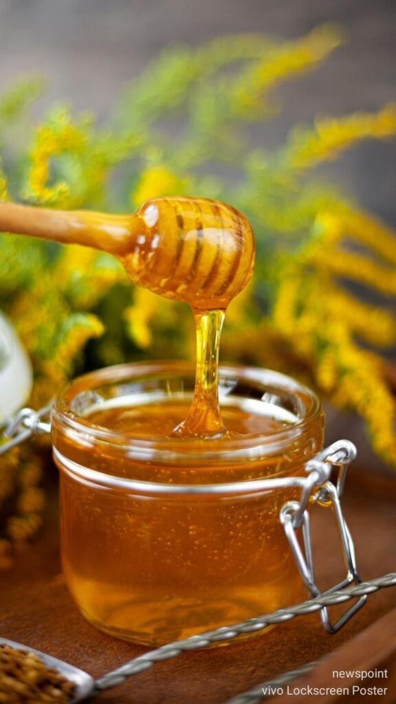 منتجاتنا/ 5e5dc095 612b 48f5 b1e2 8c60b15b95c7