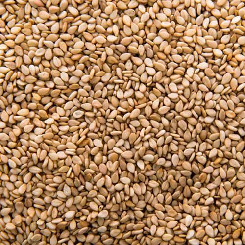 Organic Sesame 9f23cf46 75c3 49a4 9d36 938eb68ef2e5