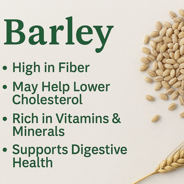 Talbina barley is a fiber rich whole grain that supports…