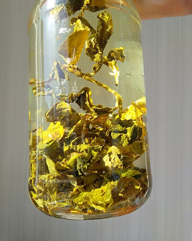 Tieguanyin organic cold brew chinese oolong tea tieguanyin