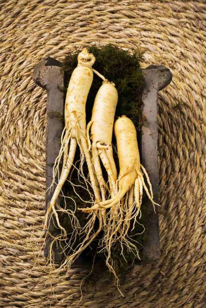 منتجاتنا/ cc26138a 0307 40f3 b074 a941260adc67