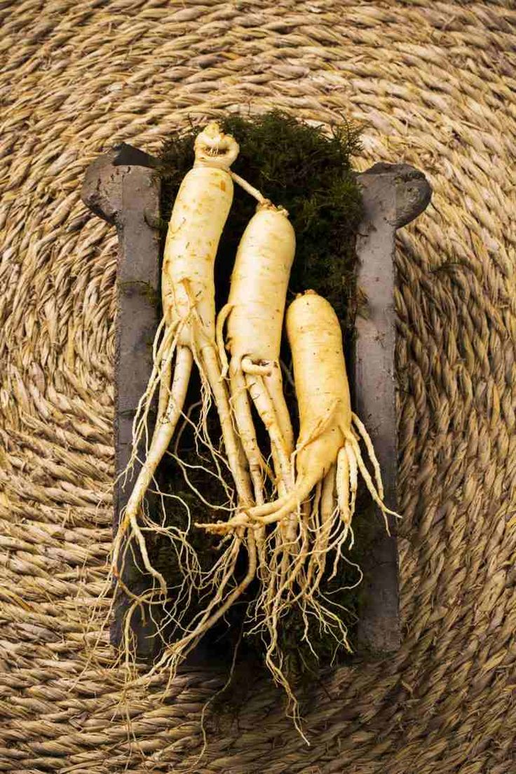 cc26138a 0307 40f3 b074 a941260adc67