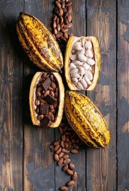 cfdd80e1 cea6 4286 8a17 a92d54a51394